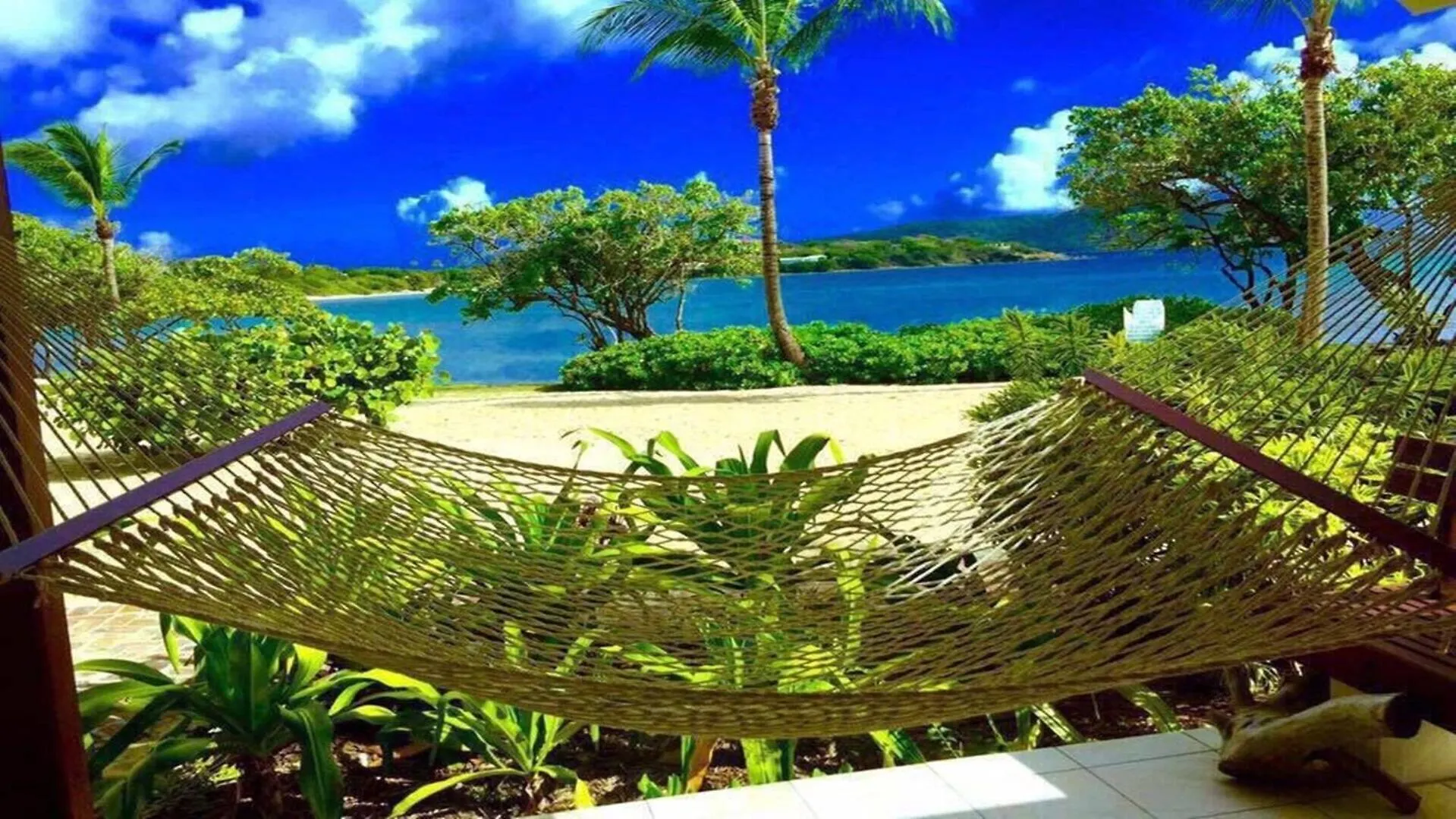 Luxurious Beachfront Condo!!! Paradise At Your Toes Nazareth